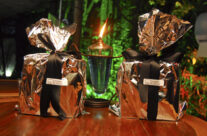 17º Encontro dos Ex-Coopers